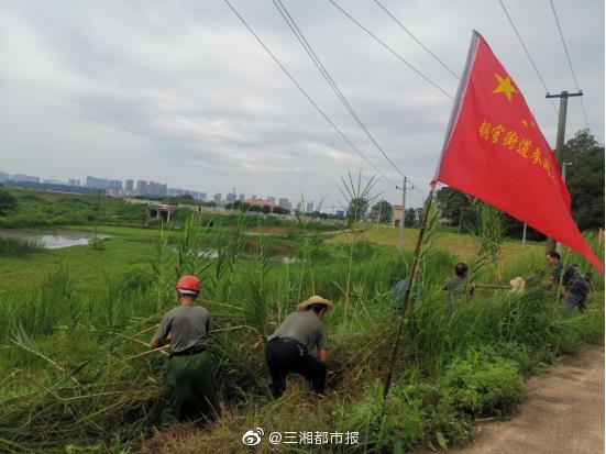 請戰(zhàn)！20余名退役軍人組建志愿隊 遞交抗洪搶險請戰(zhàn)書